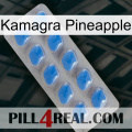 Kamagra Pineapple 22